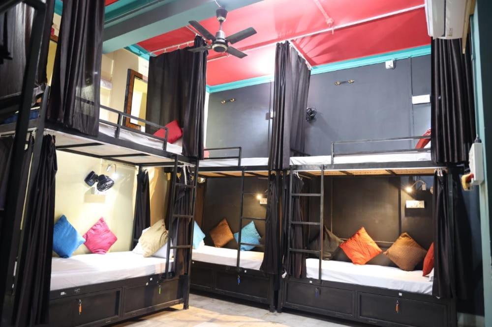 Santkripa Backpackers 400 Mtr From Railway Station Vandrarhem Jodhpur  Exteriör bild