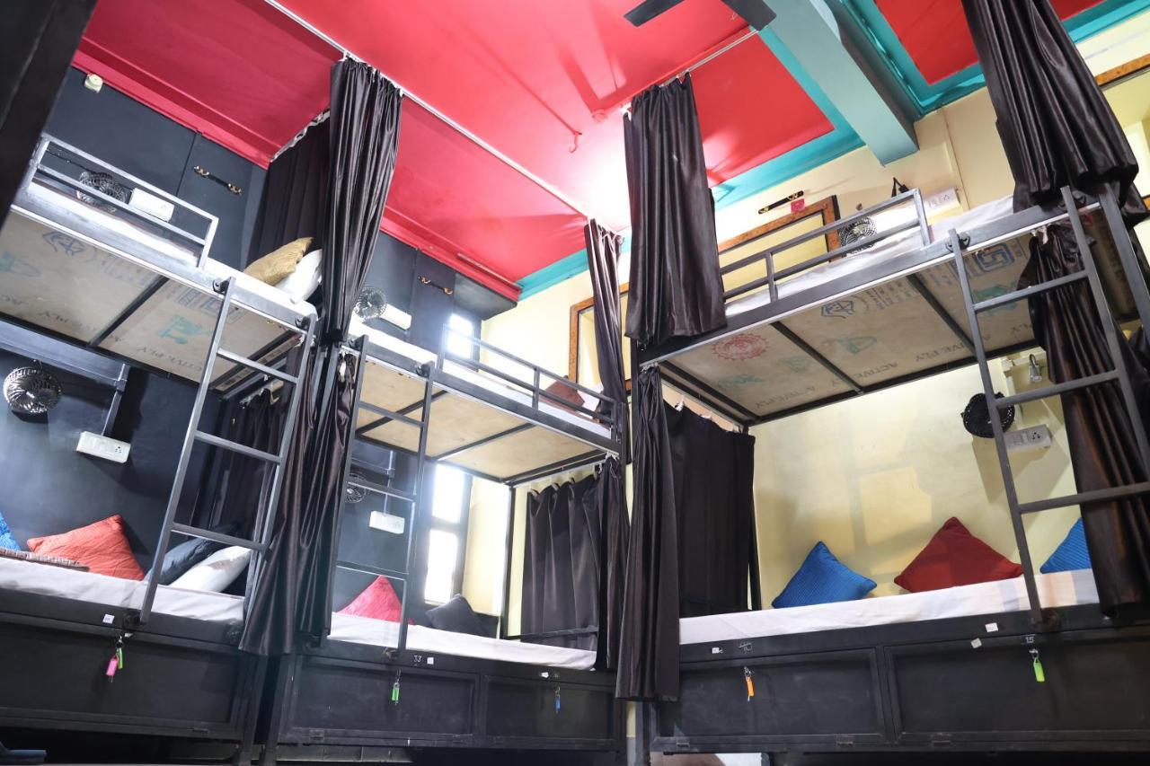 Santkripa Backpackers 400 Mtr From Railway Station Vandrarhem Jodhpur  Exteriör bild